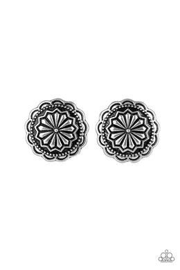 Durango Desert - Silver Earrings